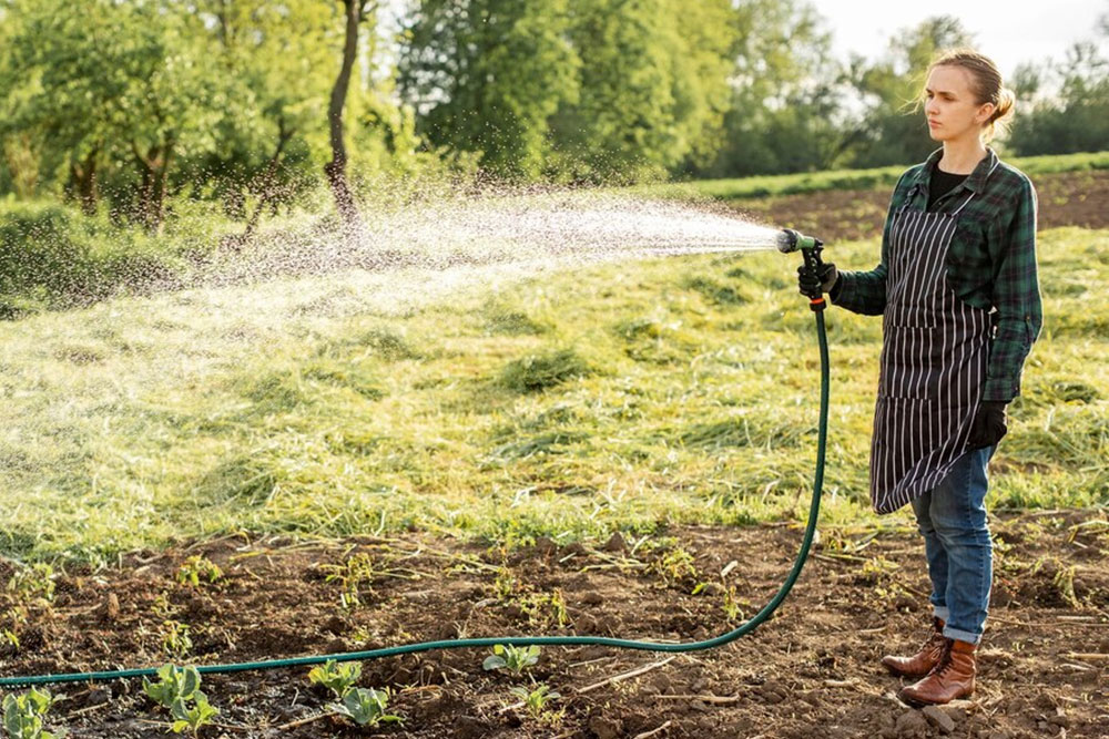 A woman waters her garden with a hose, nurturing a variety of colorful flowers and healthy plants in her yard.